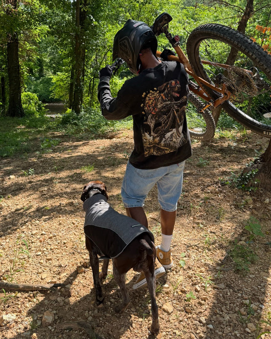 Person carrying a bicycle and a dog on a forest path